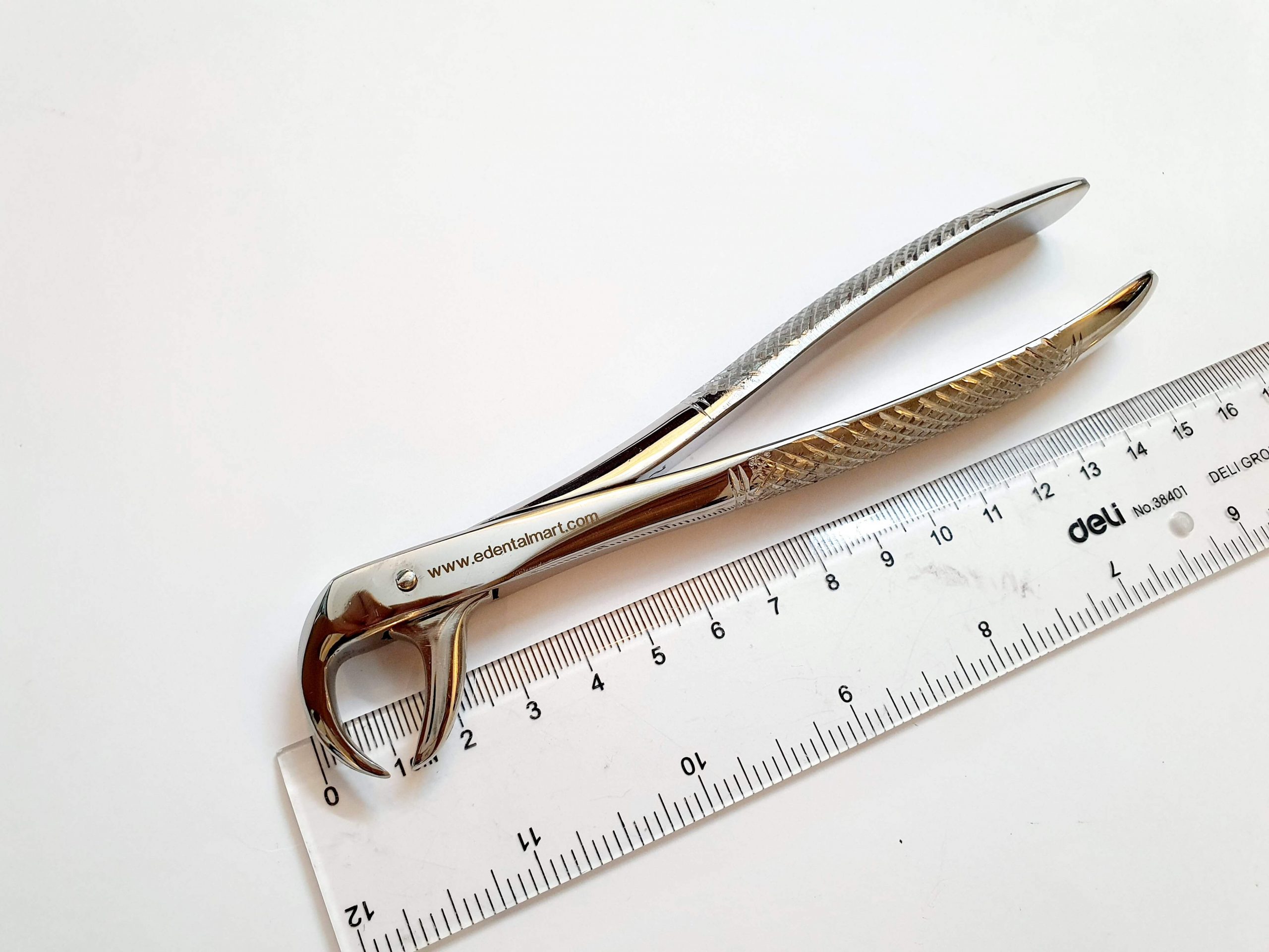 Lower Cow Horn Forceps Buy Lower Cow Horn Forceps Online Pakistan